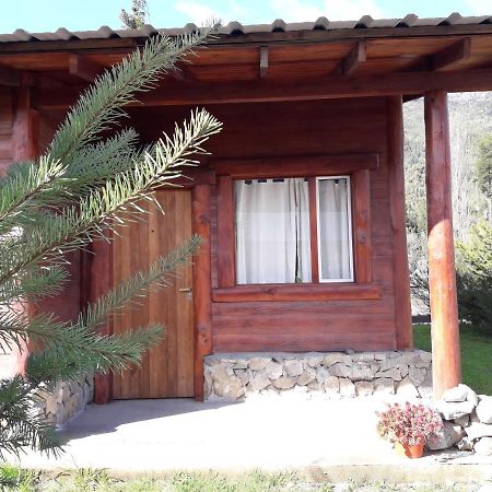 El Jarillal Chalet De Montana A Pasos Del Lago Lago Puelo Exteriér fotografie