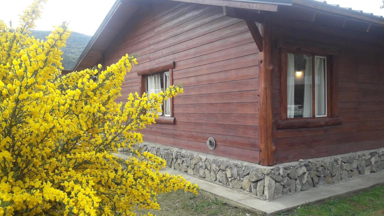 El Jarillal Chalet De Montana A Pasos Del Lago Lago Puelo Exteriér fotografie