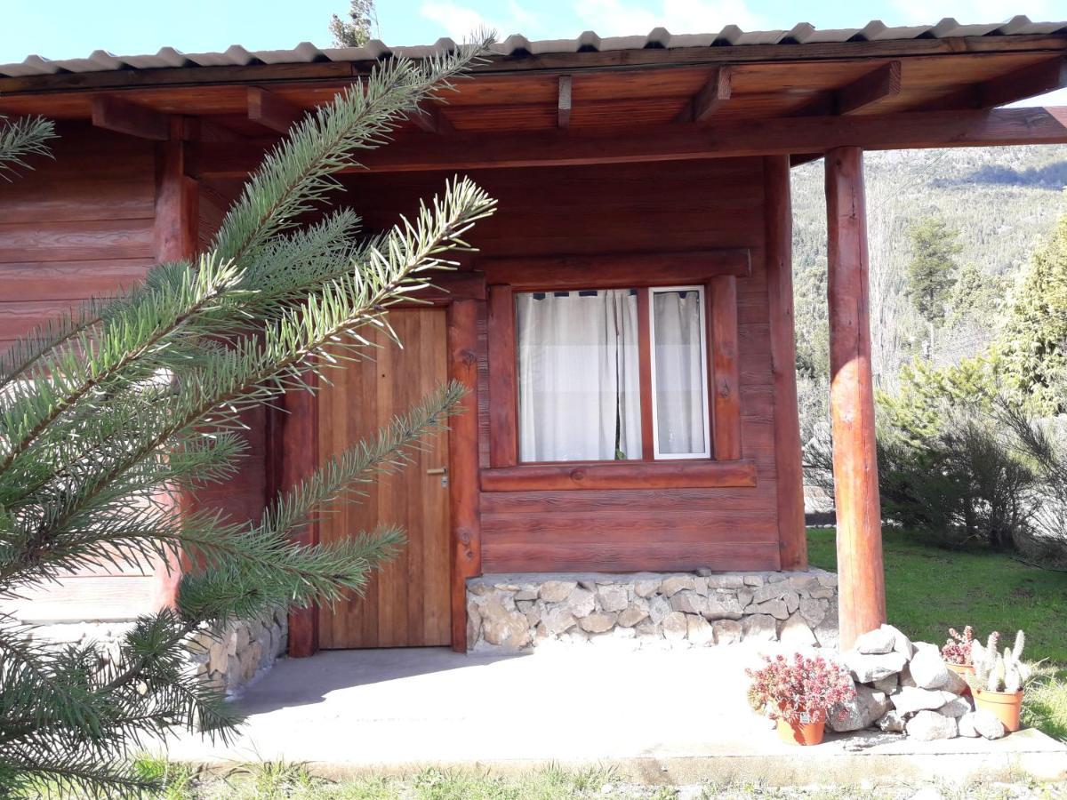El Jarillal Chalet De Montana A Pasos Del Lago Lago Puelo Exteriér fotografie